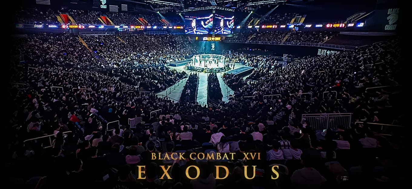 블랙컴뱃 서울의 밤