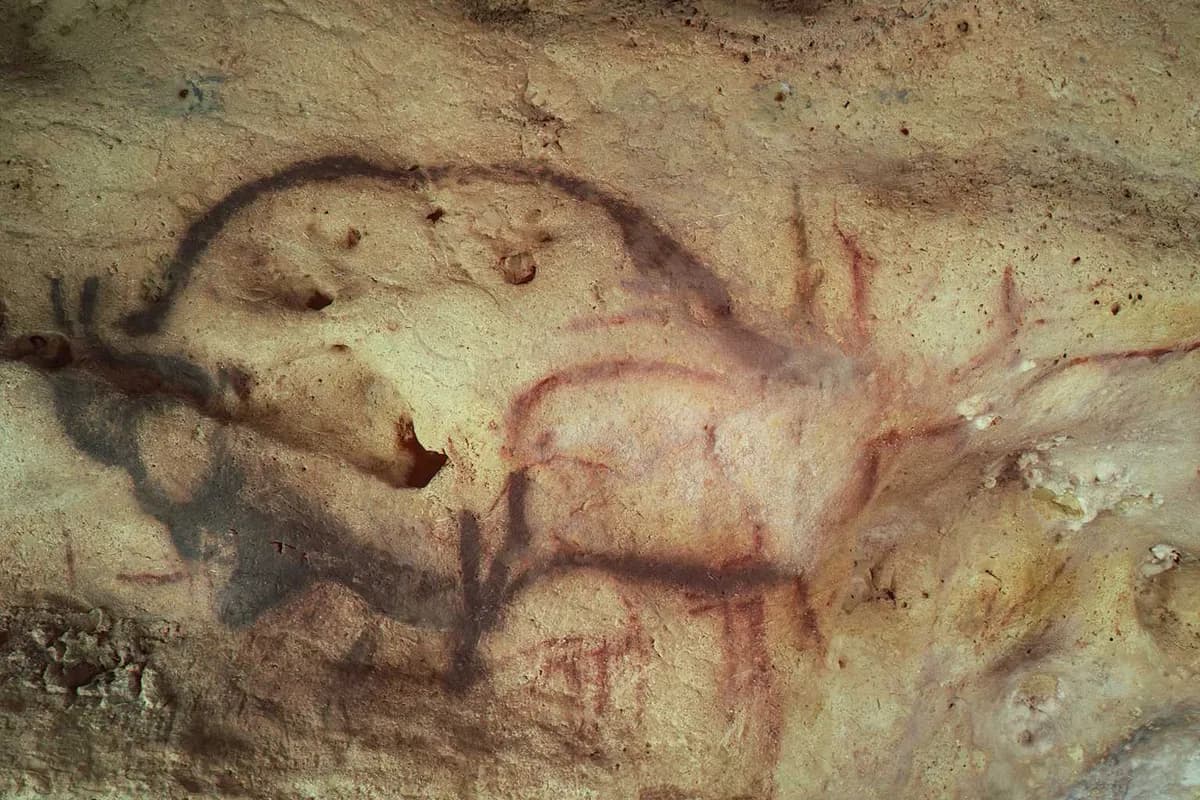 프랑스 퐁드곰 동굴 벽화, 1만3천년 전 작품으로 확인